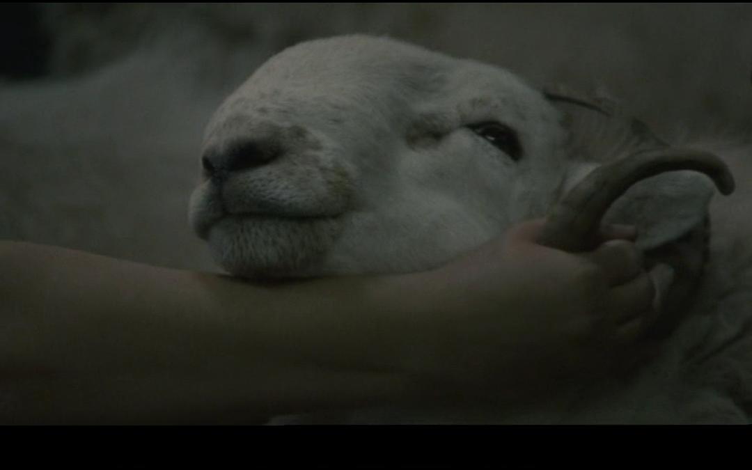 纪录片《狂躁的梦  sleep furiously》（2008英国）--高清4K/1080P迅雷BT资源下载