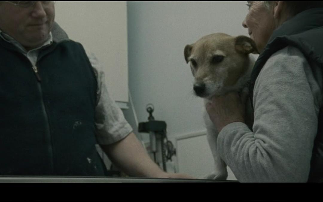 纪录片《狂躁的梦  sleep furiously》（2008英国）--高清4K/1080P迅雷BT资源下载