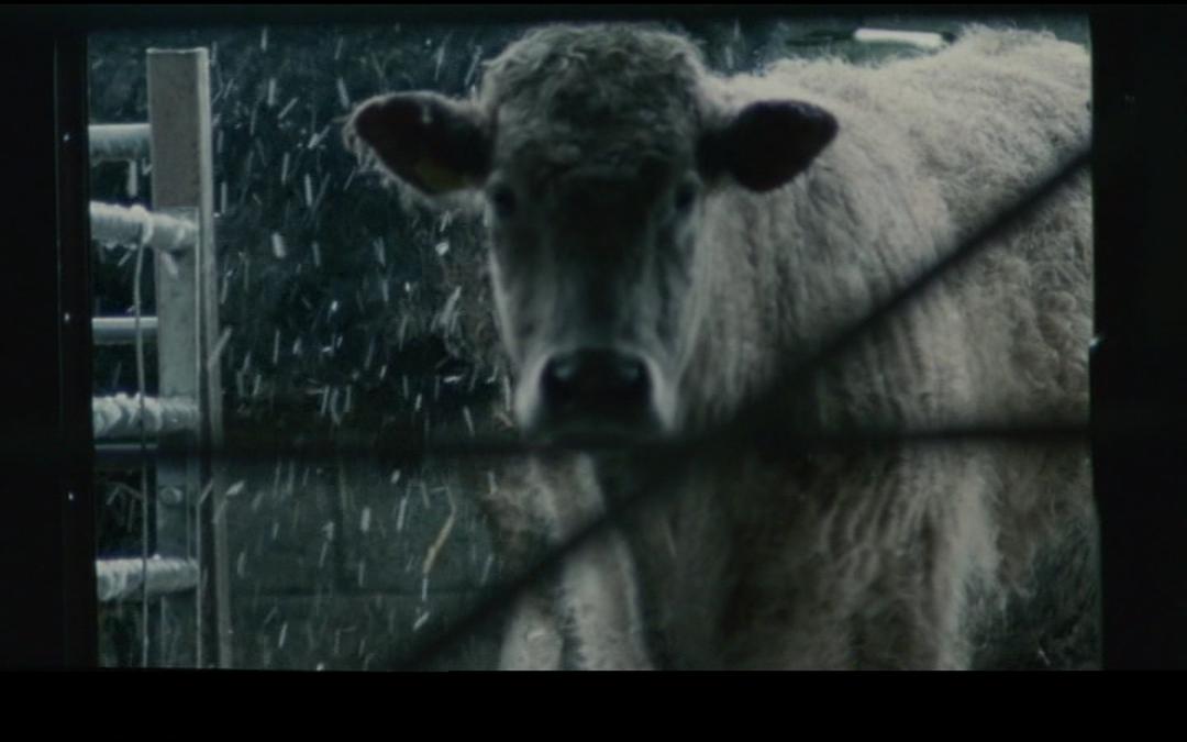 纪录片《狂躁的梦  sleep furiously》（2008英国）--高清4K/1080P迅雷BT资源下载