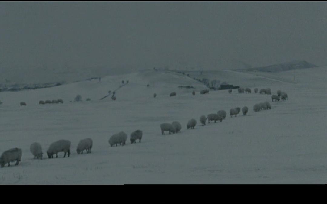 纪录片《狂躁的梦  sleep furiously》（2008英国）--高清4K/1080P迅雷BT资源下载