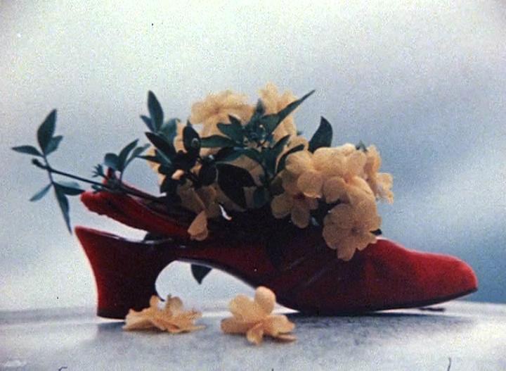 纪录片《赫尔佐格吃他的鞋  Werner Herzog Eats His Shoe》（1980美国）--高清4K/1080P迅雷BT资源下载