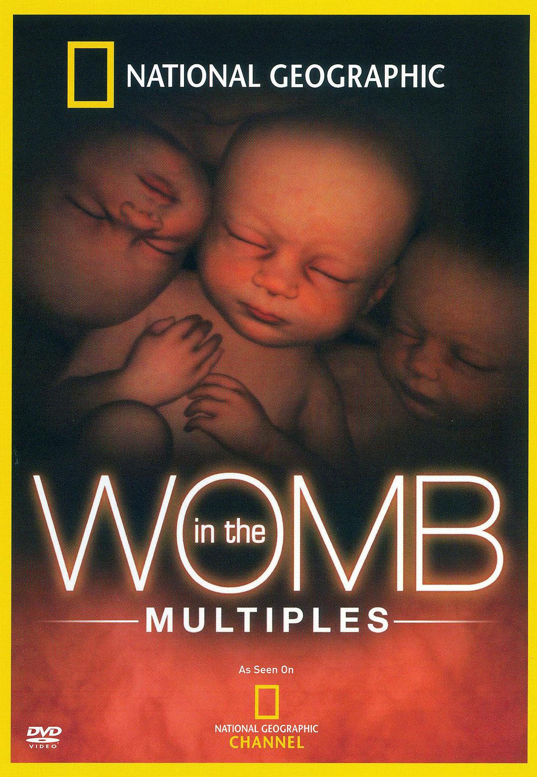 纪录片《子宫日记：多胞胎  In the Womb: Multiples》（2007美国）--高清4K/1080P迅雷BT资源下载