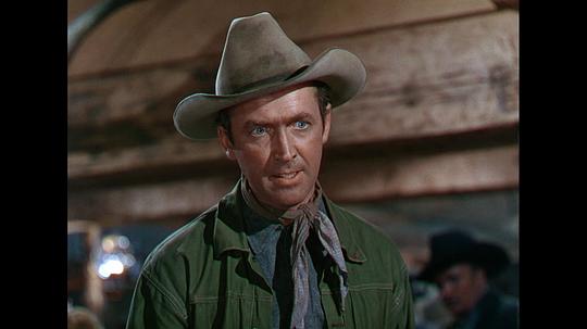 纪录片《怒河  Bend of the River》（1952美国）--高清4K/1080P迅雷BT资源下载