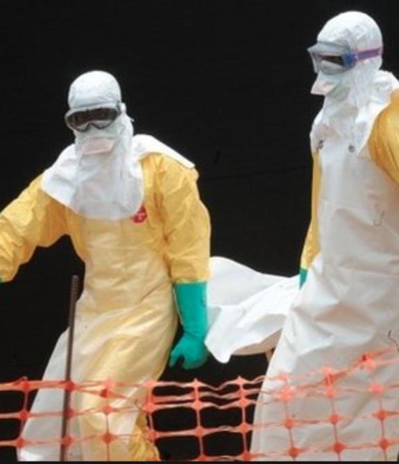 纪录片《寻找治愈埃博拉病毒的方法  BBC Horizon: Ebola - The Search for a Cure》（2014英国）--高清4K/1080P迅雷BT资源下载