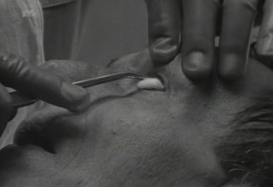 纪录片《提提卡失序记事  Titicut Follies》（1967美国）--高清4K/1080P迅雷BT资源下载