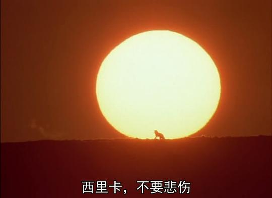 纪录片《狐狸的故事  キタキツネ物語》（1978日本）--高清4K/1080P迅雷BT资源下载