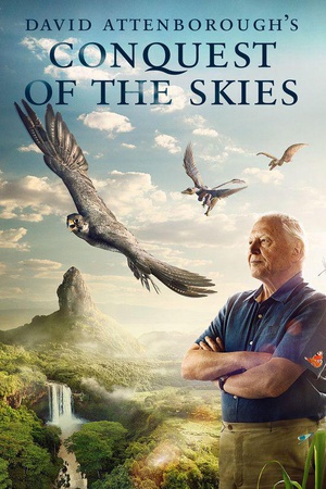 纪录片《征服天穹  David Attenborough's Conquest of the Skies》（2014英国）--高清4K/1080P迅雷BT资源下载