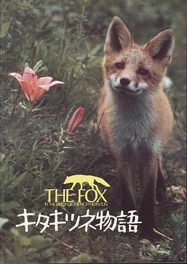 纪录片《狐狸的故事  キタキツネ物語》（1978日本）--高清4K/1080P迅雷BT资源下载