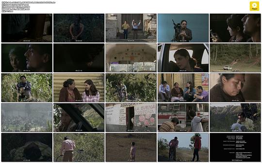 电影《逝如微尘  Polvo》（2012危地马拉 / 西班牙 / 智利 / 德国）--高清4K/1080P迅雷BT资源下载