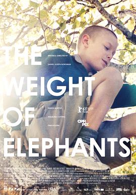 电影《大象的重量  The Weight of Elephants》（2013丹麦 / 新西兰 / 德国 / 法国）--高清4K/1080P迅雷BT资源下载