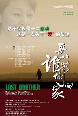 电影《哥哥，谁带你回家》（2008中国大陆）--高清4K/1080P迅雷BT资源下载