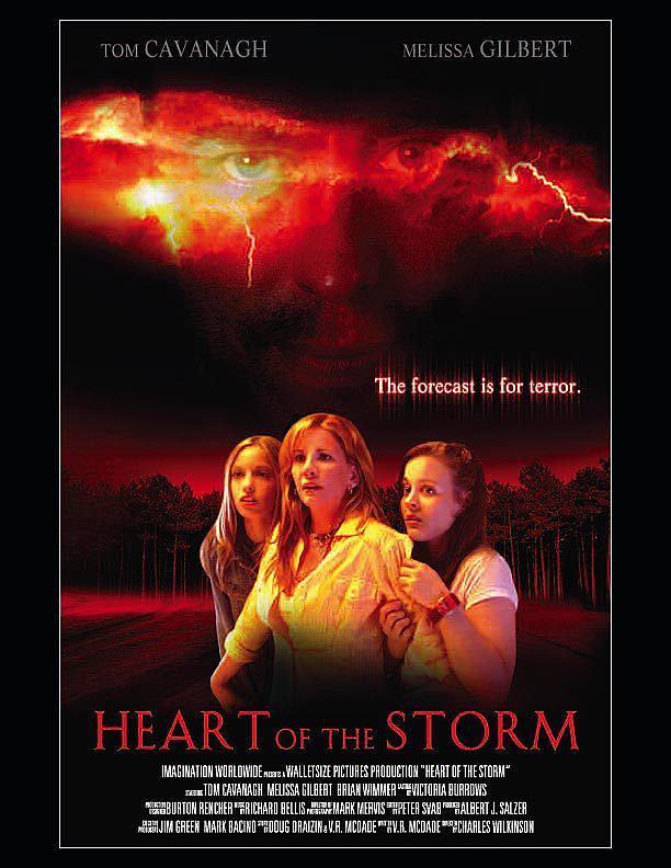 电影《心情风暴  Heart of the Storm》（2004美国）--高清4K/1080P迅雷BT资源下载