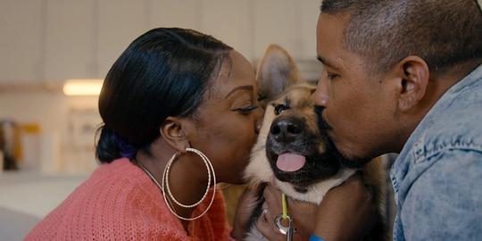 电视综艺《驯犬师  Canine Intervention》（2021美国）--高清4K/1080P迅雷BT资源下载