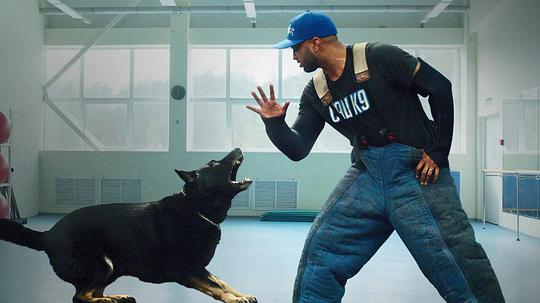 电视综艺《驯犬师  Canine Intervention》（2021美国）--高清4K/1080P迅雷BT资源下载