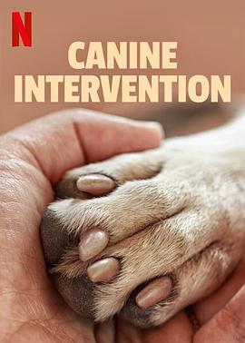电视综艺《驯犬师  Canine Intervention》（2021美国）--高清4K/1080P迅雷BT资源下载