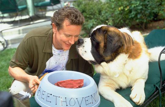 电影《无敌当家4  Beethoven's 4th》（2001美国）--高清4K/1080P迅雷BT资源下载