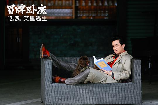 电影《冒牌卧底》（2016中国大陆）--高清4K/1080P迅雷BT资源下载