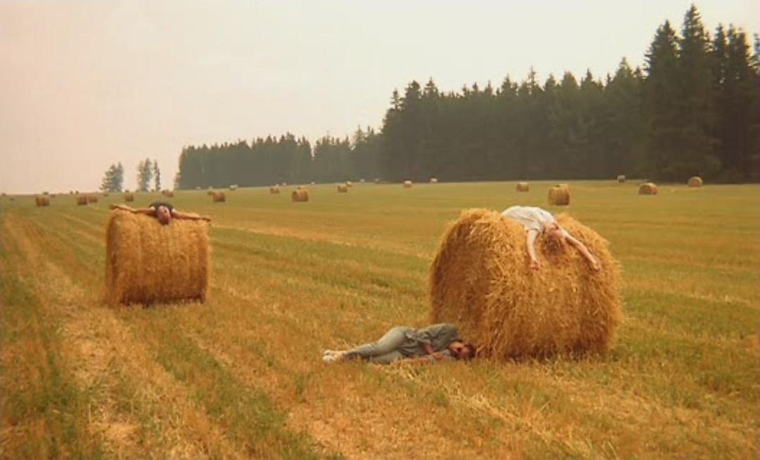 电影《旅行  Jízda》（1994捷克）--高清4K/1080P迅雷BT资源下载
