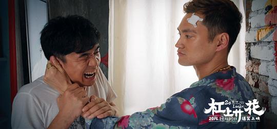 电影《杠上开花》（2016中国大陆）--高清4K/1080P迅雷BT资源下载