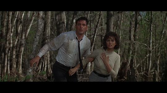 电影《谍影障目  Blindfold》（1965美国）--高清4K/1080P迅雷BT资源下载