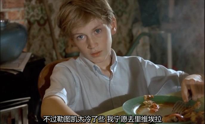 电影《生活是条静静的河流  La Vie est un long fleuve tranquille》（1988法国）--高清4K/1080P迅雷BT资源下载