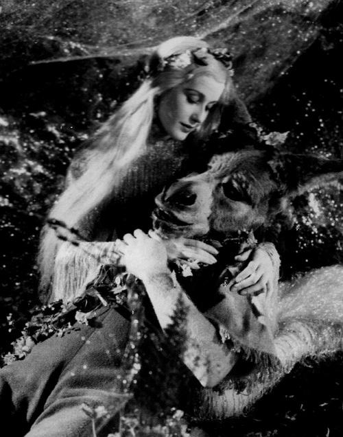 电影《仲夏夜之梦  A Midsummer Night's Dream》（1935美国）--高清4K/1080P迅雷BT资源下载