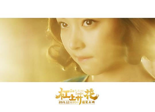 电影《杠上开花》（2016中国大陆）--高清4K/1080P迅雷BT资源下载