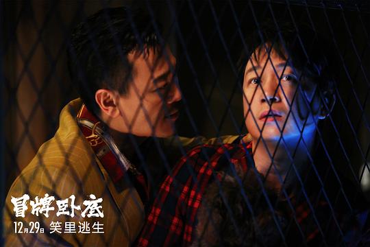 电影《冒牌卧底》（2016中国大陆）--高清4K/1080P迅雷BT资源下载