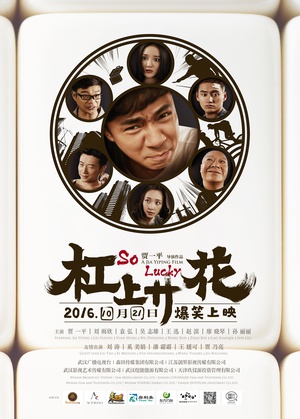 电影《杠上开花》（2016中国大陆）--高清4K/1080P迅雷BT资源下载