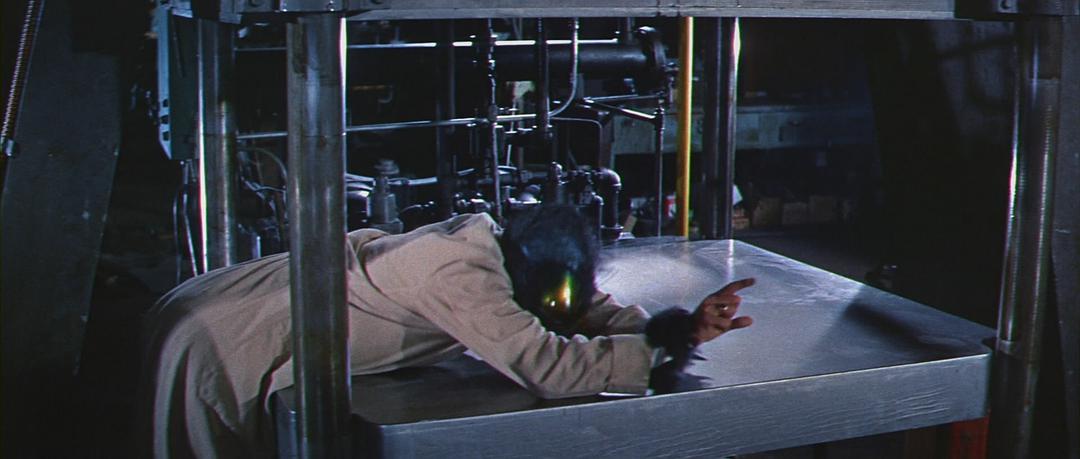 电影《变蝇人 The Fly》(1958美国)--高清4K/1080P迅雷BT资源下载 电影《变蝇人 The Fly》(1958美国)--高清4K/1080P迅雷BT资源下载
