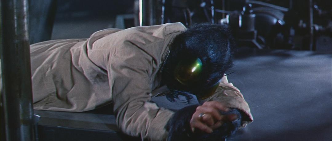 电影《变蝇人 The Fly》(1958美国)--高清4K/1080P迅雷BT资源下载 电影《变蝇人 The Fly》(1958美国)--高清4K/1080P迅雷BT资源下载