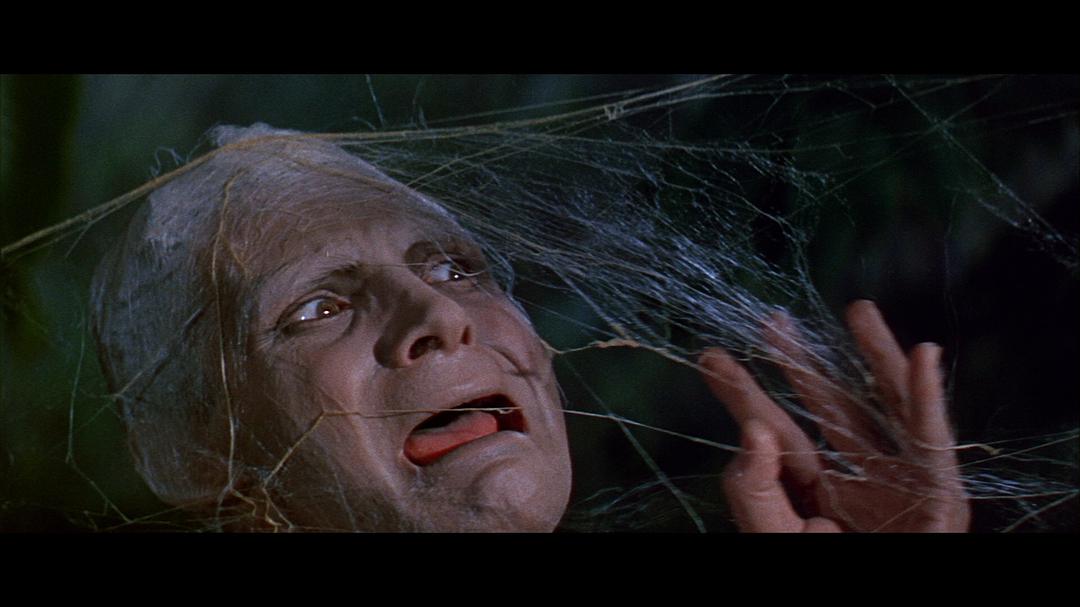 电影《变蝇人 The Fly》(1958美国)--高清4K/1080P迅雷BT资源下载 电影《变蝇人 The Fly》(1958美国)--高清4K/1080P迅雷BT资源下载