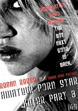 电影《情色杀手3  Amateur Porn Star Killer 3: The Final Chapter》（2009美国）--高清4K/1080P迅雷BT资源下载