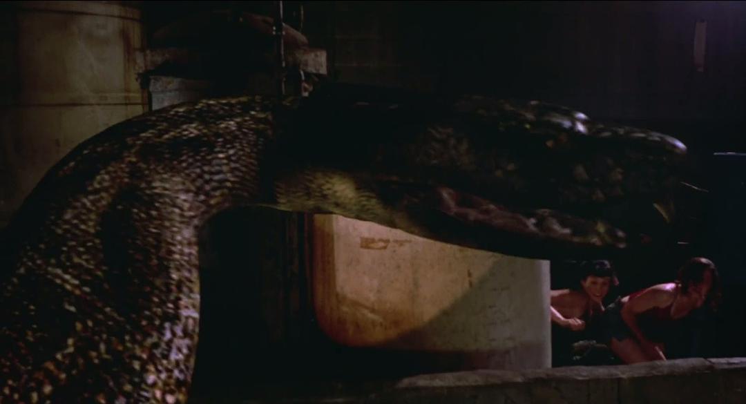 电影《死里逃生  Python》（2000美国）--高清4K/1080P迅雷BT资源下载