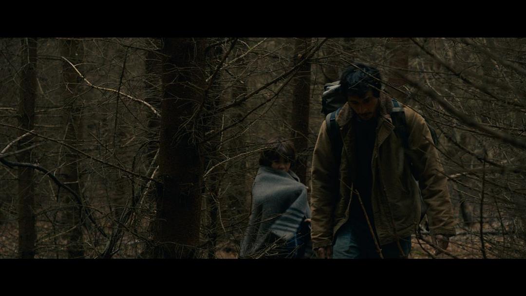 电影《森林中  Dans la forêt》（2016法国 / 瑞典）--高清4K/1080P迅雷BT资源下载