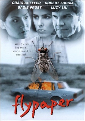 电影《捕蝇  Flypaper》（1999美国）--高清4K/1080P迅雷BT资源下载