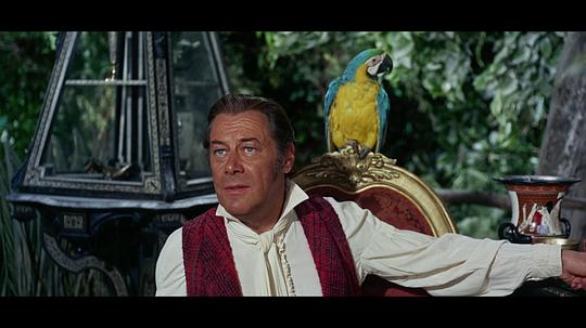 电影《杜立德医生  Doctor Dolittle》（1967美国）--高清4K/1080P迅雷BT资源下载