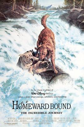 电影《看狗在说话  Homeward Bound: The Incredible Journey》（1993美国）--高清4K/1080P迅雷BT资源下载