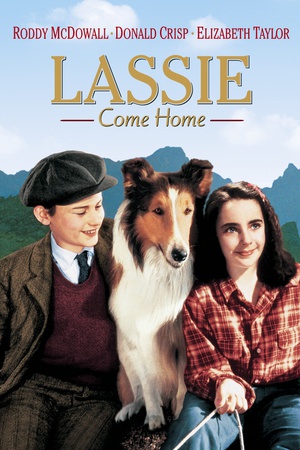 电影《灵犬莱西  Lassie Come Home》（1943美国）--高清4K/1080P迅雷BT资源下载