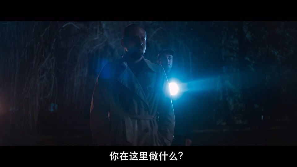 电影《W谋杀案  W jak morderstwo》（2021波兰）--高清4K/1080P迅雷BT资源下载