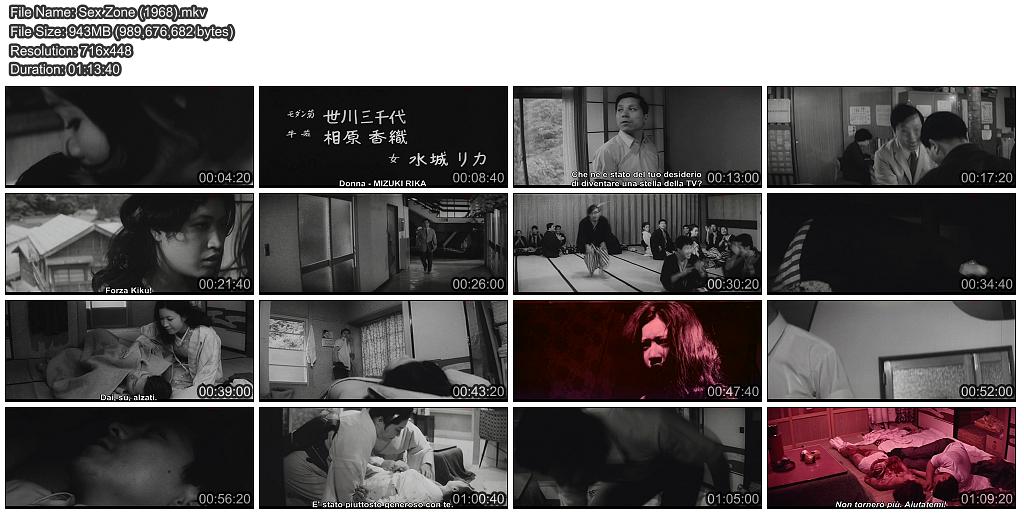 电影《性地带  性地帯〈セックスゾーン〉》（1968日本）--高清4K/1080P迅雷BT资源下载