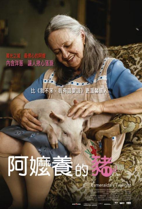 电影《奶奶养的猪  Cría puercos》（2018墨西哥）--高清4K/1080P迅雷BT资源下载