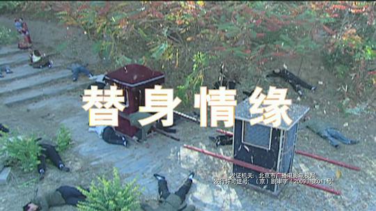 电影《替身情缘》（2009中国大陆）--高清4K/1080P迅雷BT资源下载