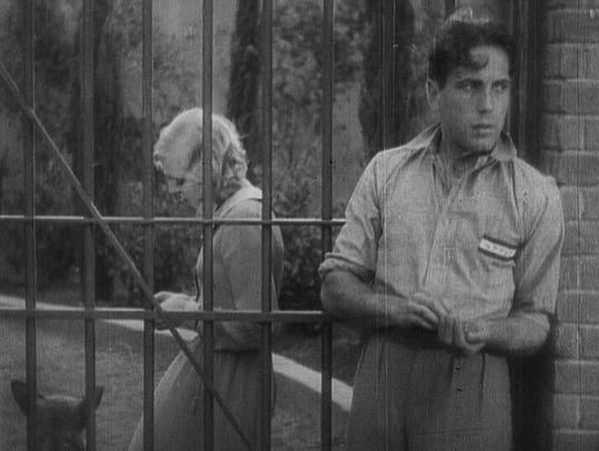 电影《监狱三友  Up the River》（1930美国）--高清4K/1080P迅雷BT资源下载
