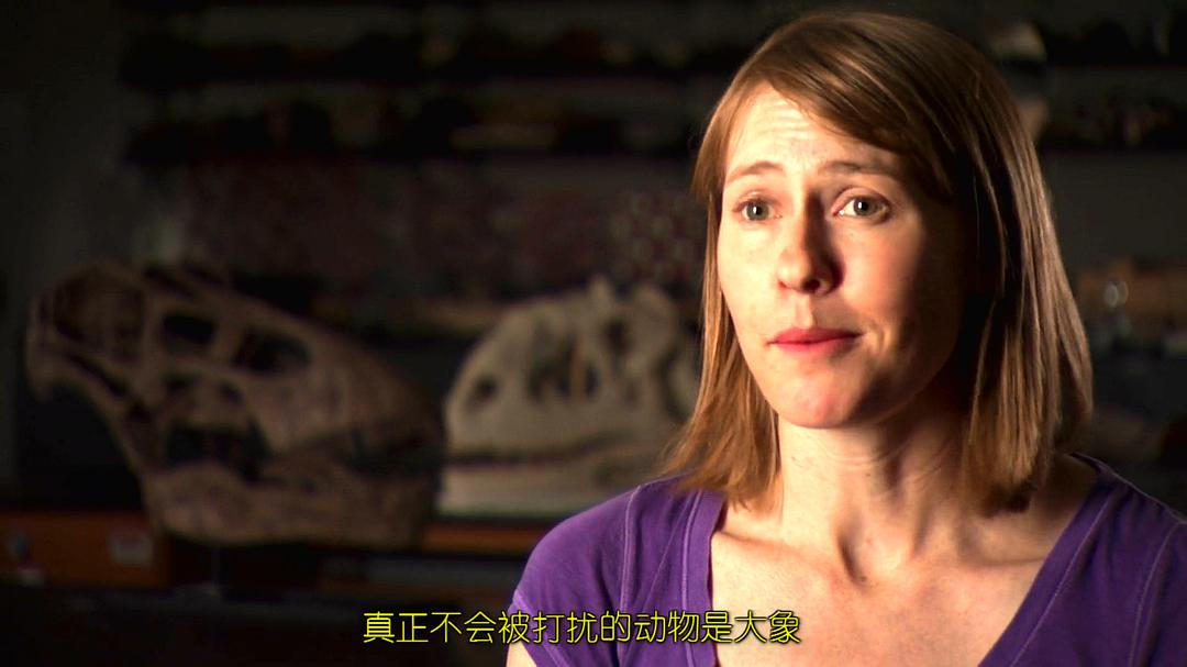 纪录片《怪异恐龙目录  Bizarre Dinosaurs》（2009美国）--高清4K/1080P迅雷BT资源下载