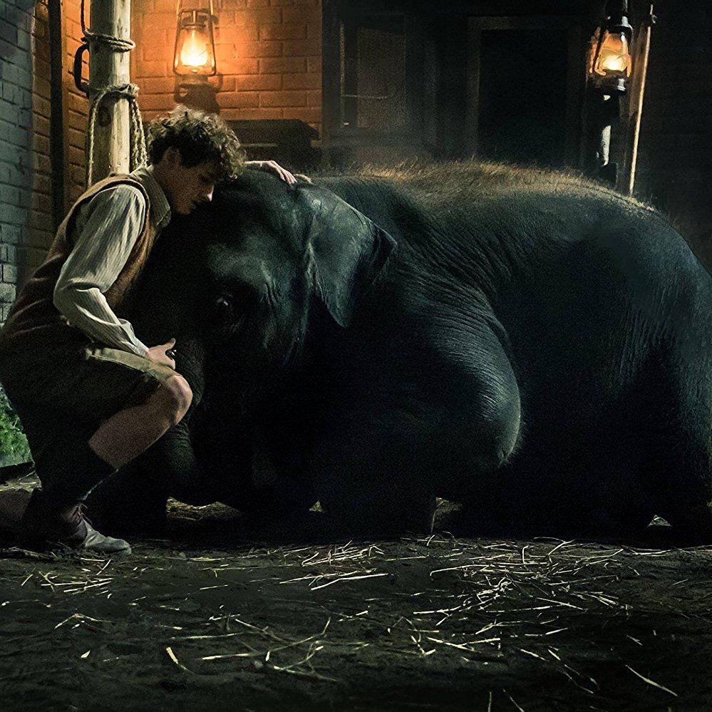 纪录片《动物奇缘  Zoo》（2017爱尔兰 / 英国）--高清4K/1080P迅雷BT资源下载