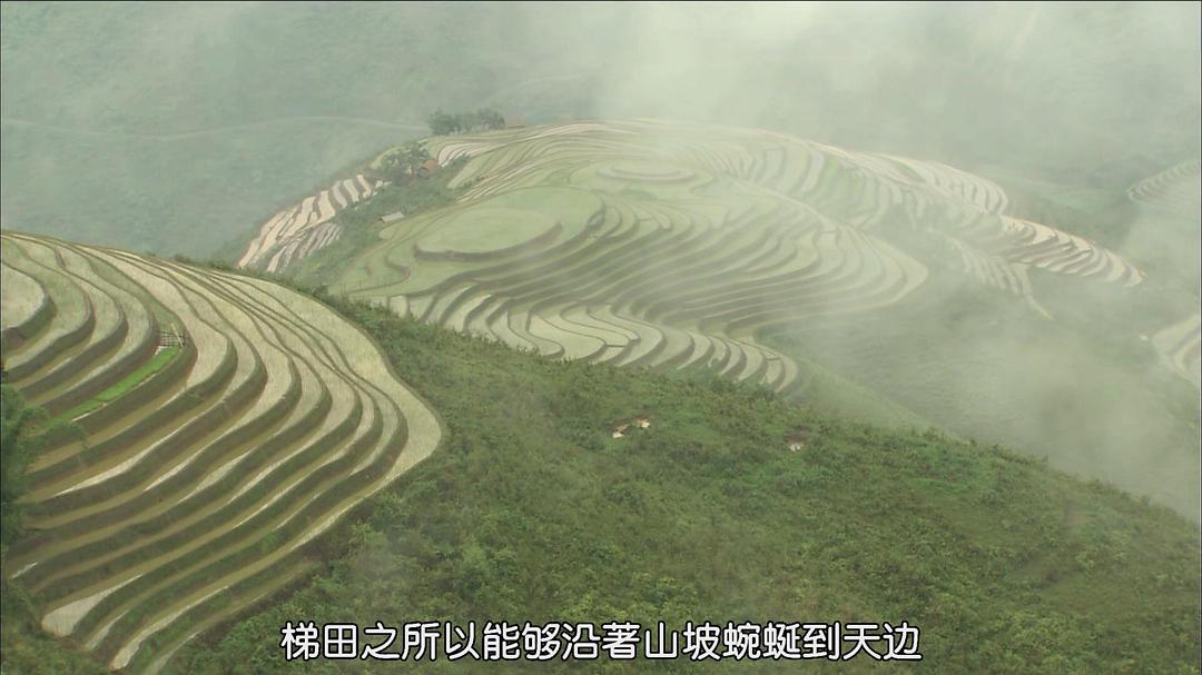 纪录片《最后的香格里拉  The Last Shangri-La》（2009美国）--高清4K/1080P迅雷BT资源下载