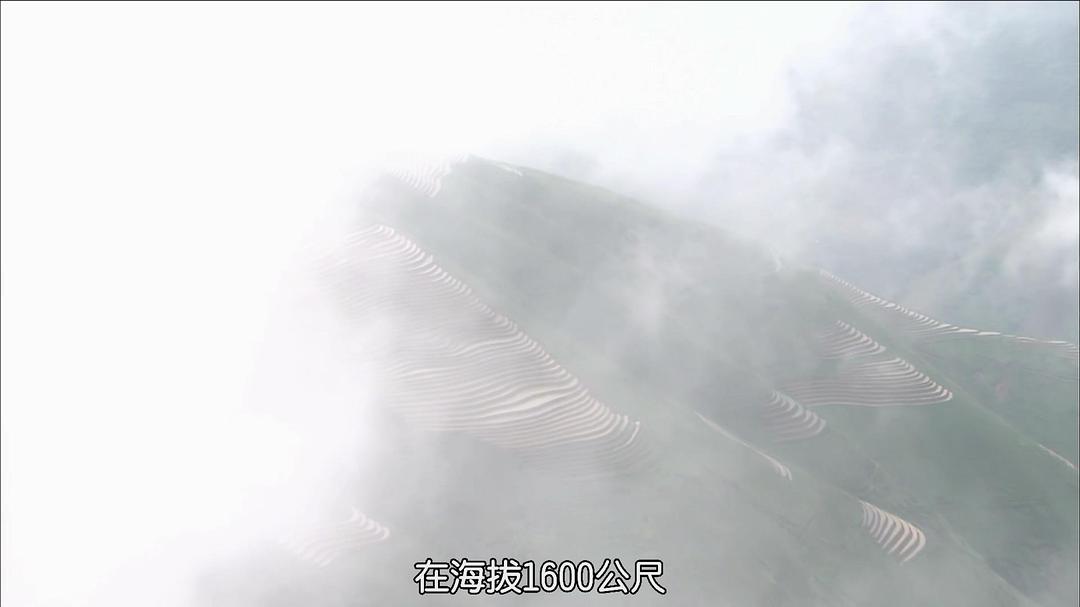 纪录片《最后的香格里拉  The Last Shangri-La》（2009美国）--高清4K/1080P迅雷BT资源下载