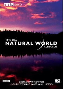 纪录片《佛罗里达：美国的动物天堂  Florida: America's Animal Paradise》（2019英国）--高清4K/1080P迅雷BT资源下载