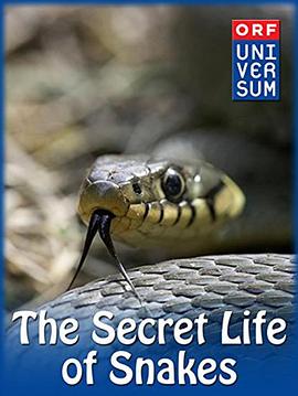 纪录片《蛇的秘密生活  The Secret Life of Snakes》（2016美国）--高清4K/1080P迅雷BT资源下载